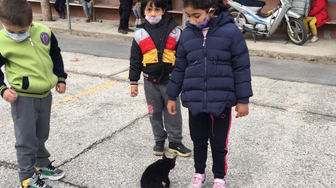 Okulumuz Hayvan Sevgisini aşılayan bir okuldur. Ulubatlıhasan primary school is an animal-friendly school.